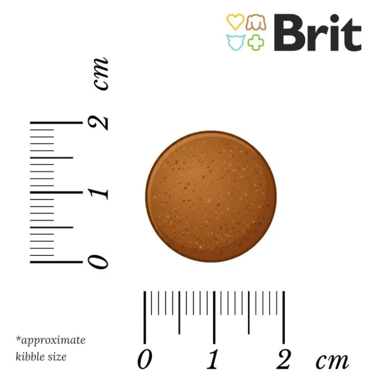 Brit Care Dog Hypoallergenic Adult Large Breed lam & ris