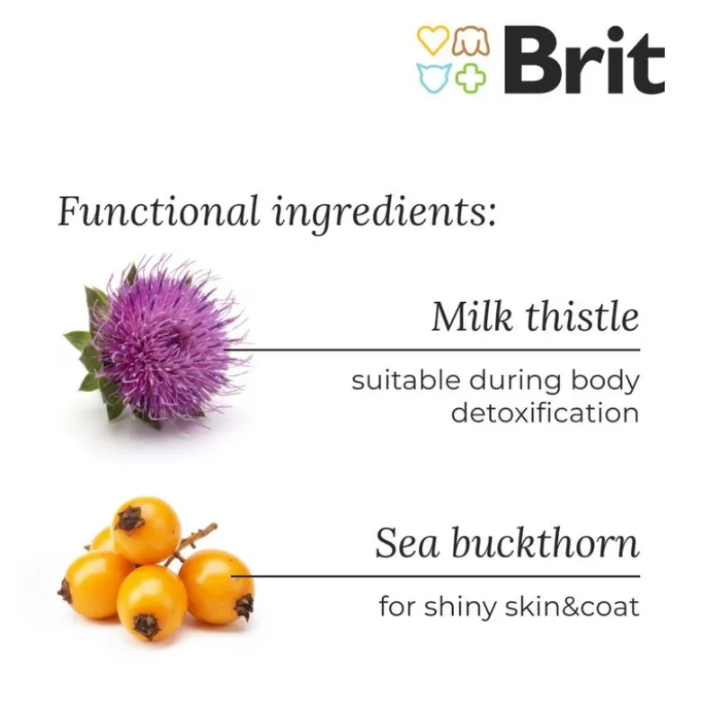 Brit Care Dog Hypoallergenic Senior lam & ris