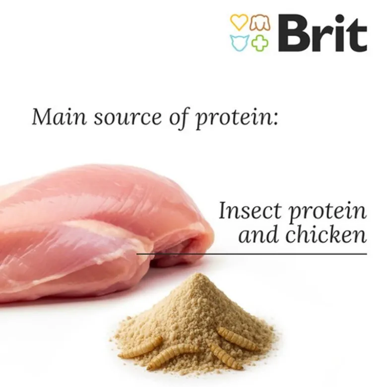 Brit Care Dog Sustainable Adult Small Breed Kylling & Insekter