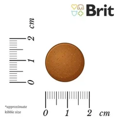 Brit Care Dog Sustainable Adult Large Breed Kylling & Insekter