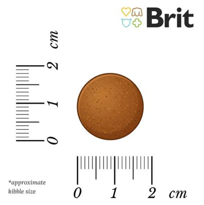 Brit Care Dog Sustainable Adult Large Breed Kylling & Insekter