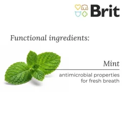 Brit Dental Stick Calm med hamp & hjertespand