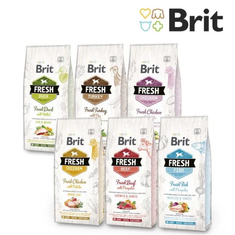 Brit Fresh And & Hirse Active Run & Work