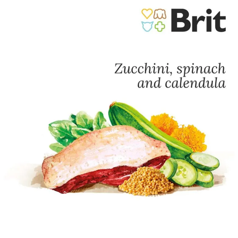 Brit Fresh And & Hirse Active Run & Work
