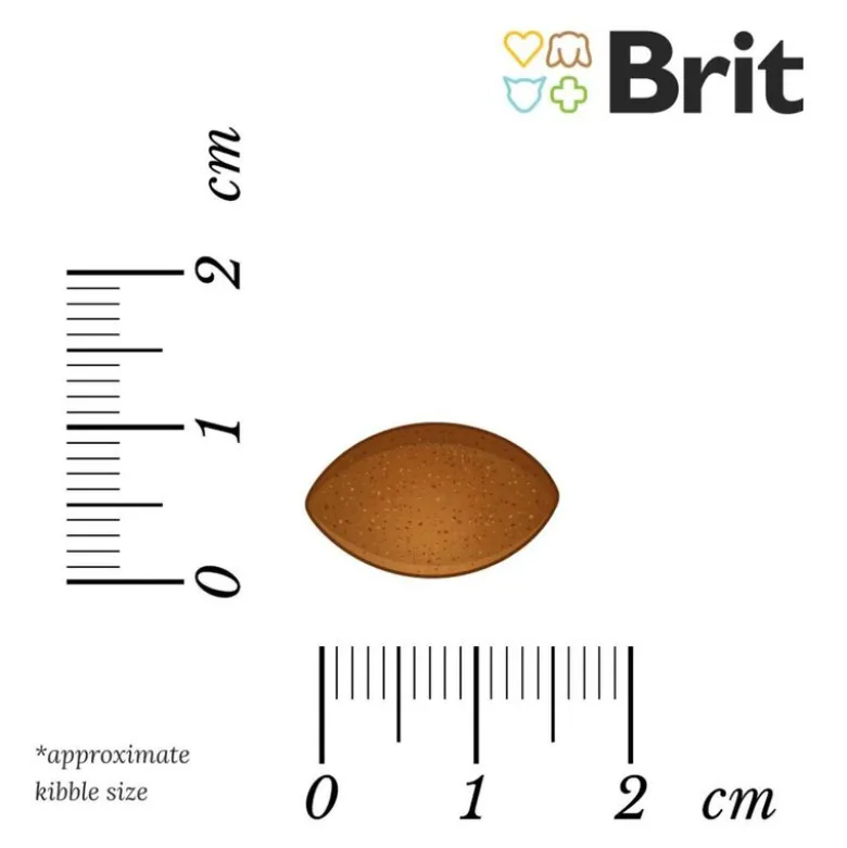 Brit Fresh And & Hirse Active Run & Work