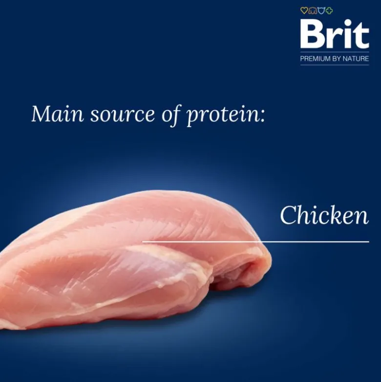 Brit Premium Junior M