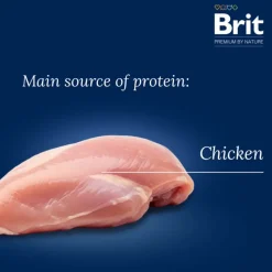 Brit Premium Junior XL
