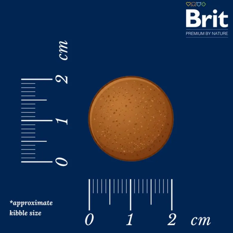 Brit Premium Junior XL
