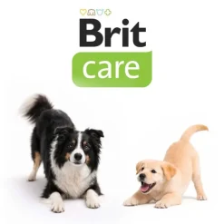 Brit Raw Treat Skin & Coat Freeze-dried Treat and Topper