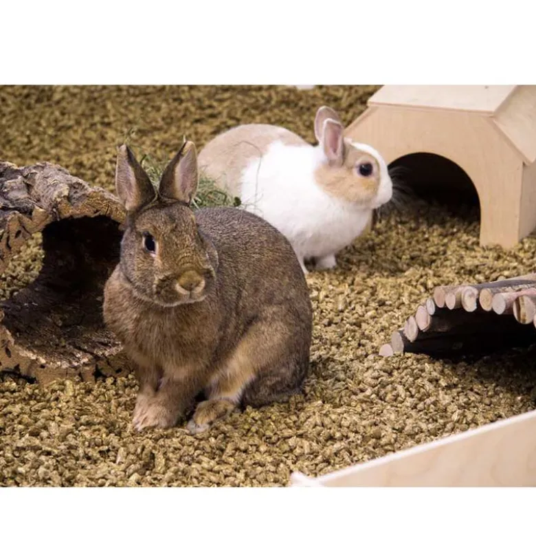 Bunny Halmstrøelse Cosy