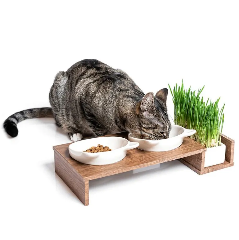 CanadianCat Company Cat Diner Foderbar
