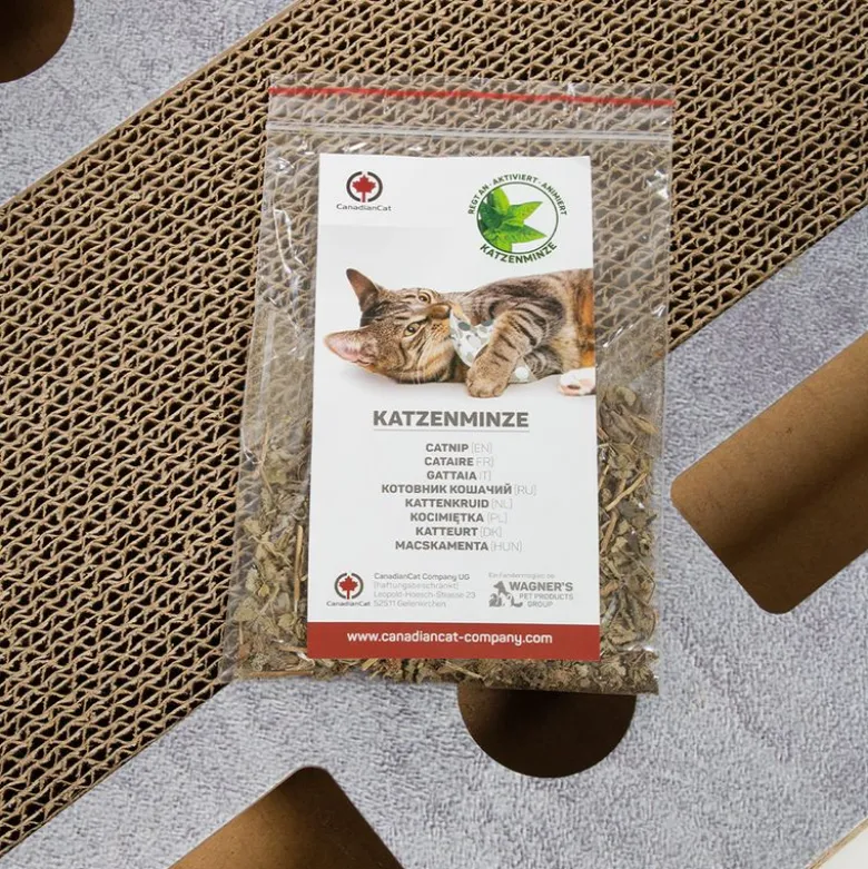 CanadianCat Company PlayPlate Kattelegeplads