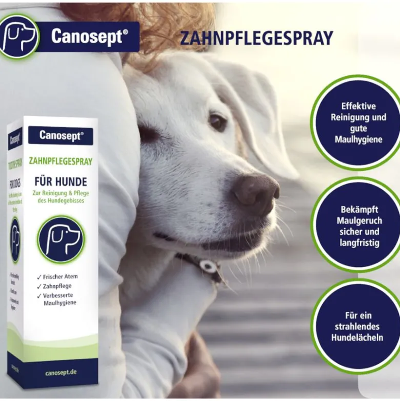 Canosept tandpleje til hunde