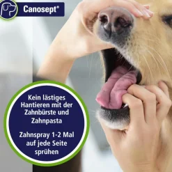 Canosept tandpleje til hunde