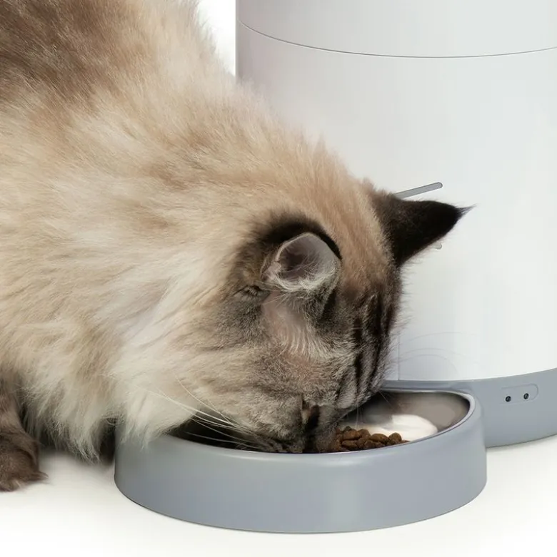 Catit PIXI Smart foderautomat