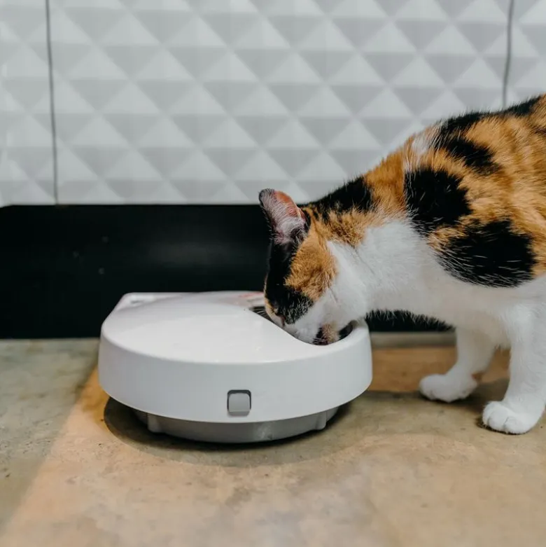 Cat Mate Foderautomat C500