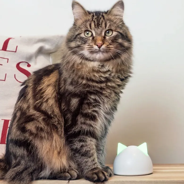 Cat Mate Mikrochip Kattelem Elite med tidsstyring