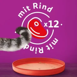 catz finefood i dåse 6 x 800 g