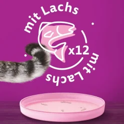 catz finefood i dåse 6 x 800 g
