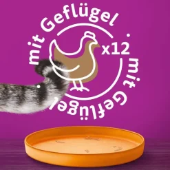 catz finefood i dåse 6 x 800 g