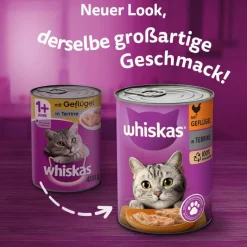 catz finefood i dåse 6 x 800 g