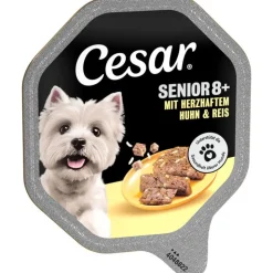 Cesar Bowl Senior 10+