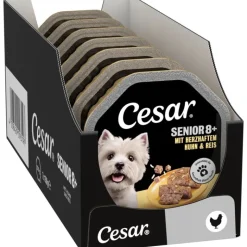 Cesar Bowl Senior 10+