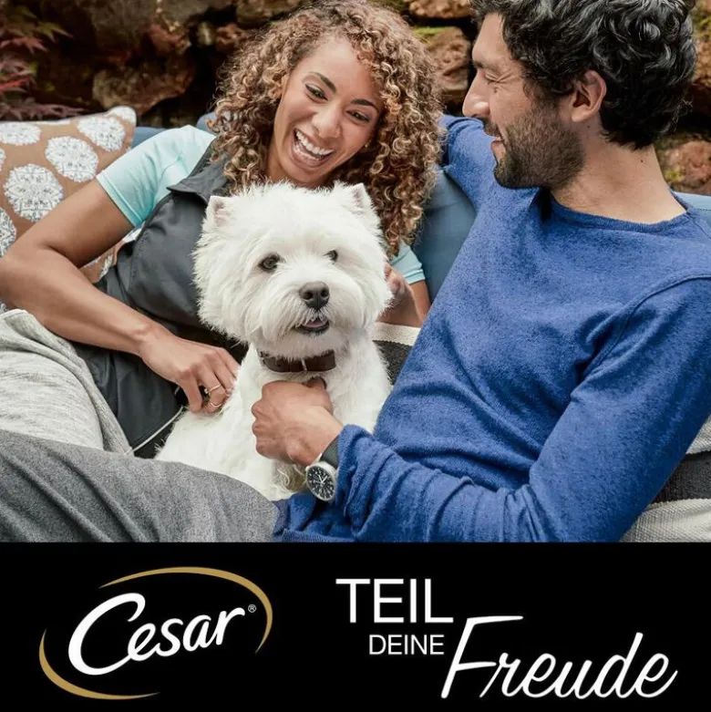 Cesar Classic Selection Mix