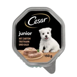 Cesar Junior Bowl
