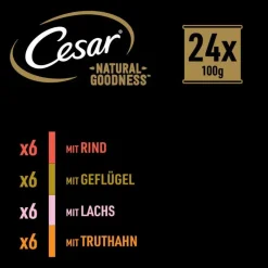 Cesar Natural Goodness kornfri med superfoods 24 x 100 g