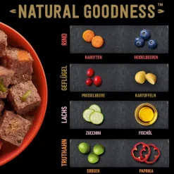 Cesar Natural Goodness kornfri med superfoods 48 x 100 g