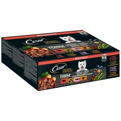 Cesar Natural Goodness kornfri med superfoods 48 x 100 g