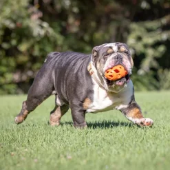CHUCKIT! Air Fetch fodbold