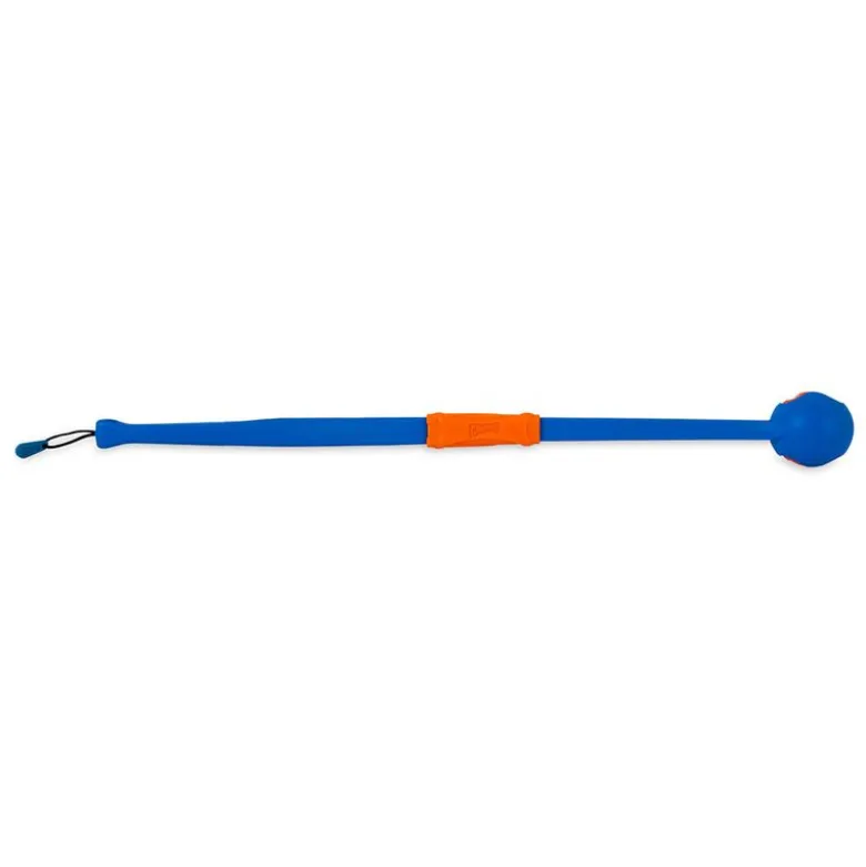 Chuckit! Fetch & Fold