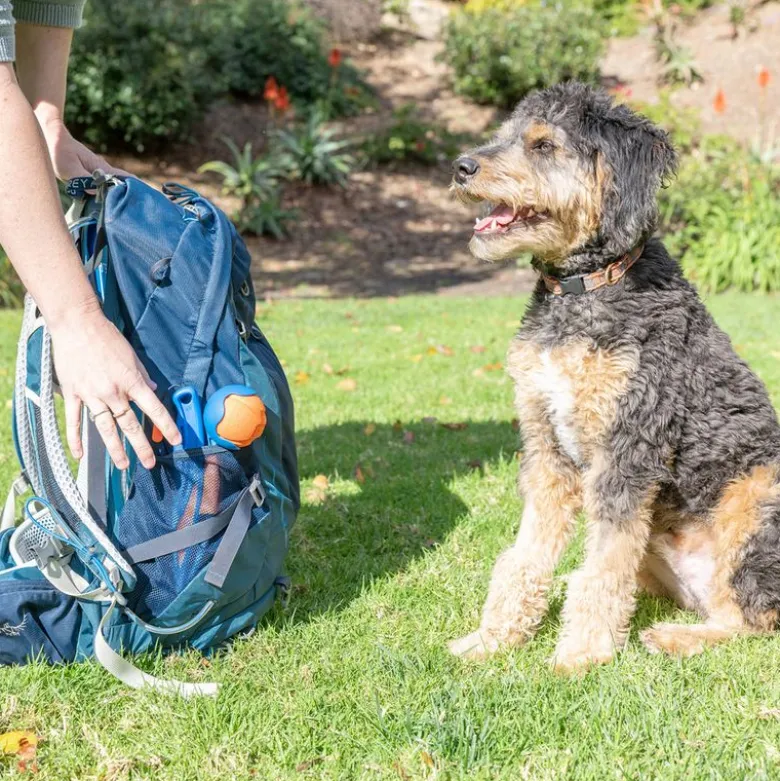Chuckit! Fetch & Fold Mini Ball Launcher