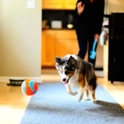 Chuckit! Indoor Ball