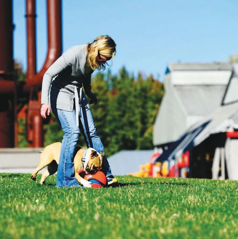 Chuckit! Kick Fetch