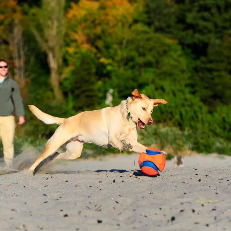 Chuckit! Kick Fetch