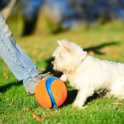 Chuckit! Kick Fetch