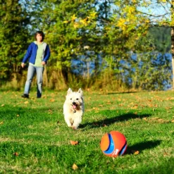 Chuckit! Kick Fetch