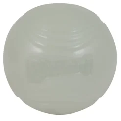 Chuckit! Max Glow Ball