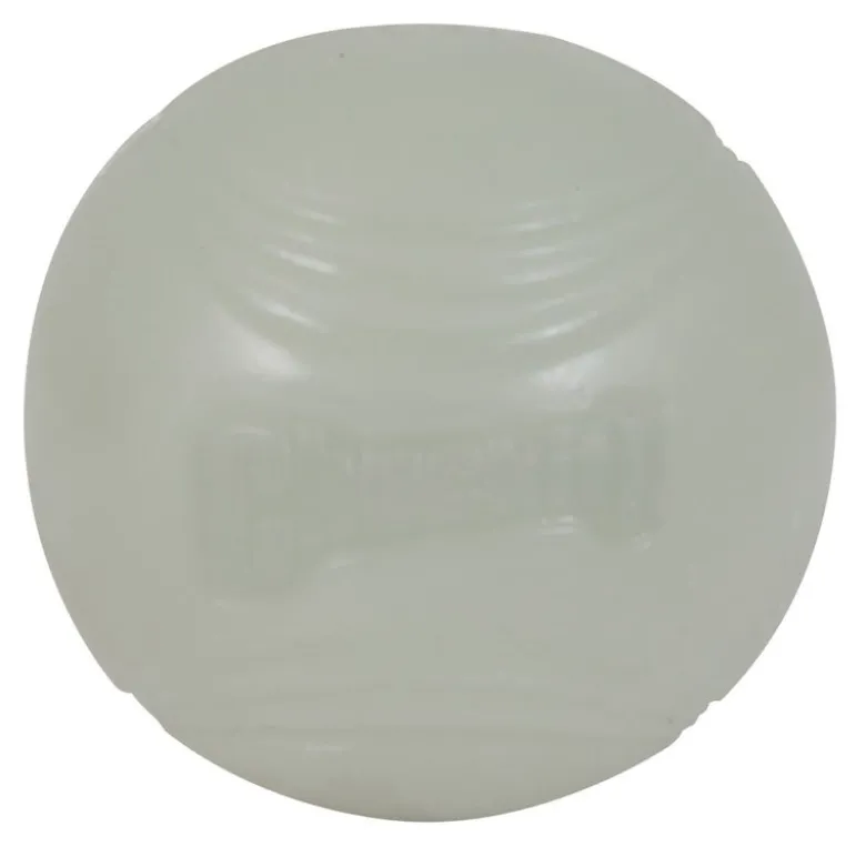 Chuckit! Max Glow Ball