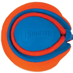 Chuckit! Rope Fetch