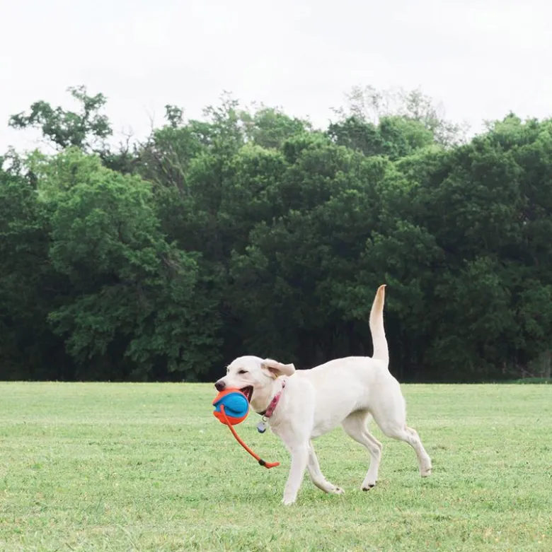 Chuckit! Rope Fetch