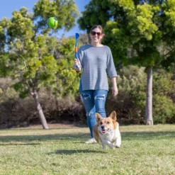Chuckit! Sniff Fetch-bolde i beholder
