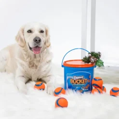 CHUCKIT! Spand med 8 Ultra-bolde