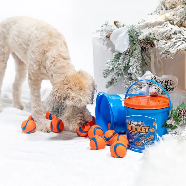 CHUCKIT! Spand med 8 Ultra-bolde