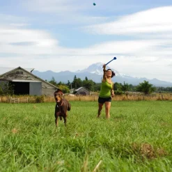 Chuckit! Sport Ball Launcher