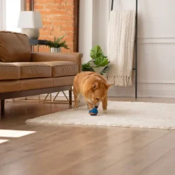 Chuckit! Ultra Ball