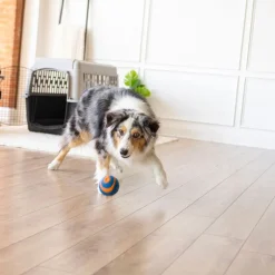 Chuckit! Ultra Ball